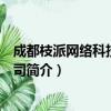 成都枝派网络科技有限公司（关于成都枝派网络科技有限公司简介）