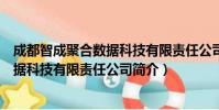 成都智成聚合数据科技有限责任公司(关于成都智成聚合数据科技有限责任公司简介)