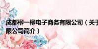 成都柳一柳电子商务有限公司(关于成都柳一柳电子商务有限公司简介)
