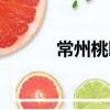 常州桃园（关于常州桃园介绍）