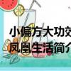 小偏方大功效/凤凰生活（关于小偏方大功效/凤凰生活简介）