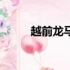 越前龙马儿子（越前龙马的妹妹）