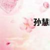 孙慧郎（关于孙慧郎介绍）