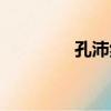 孔沛然（关于孔沛然介绍）