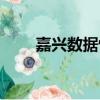 嘉兴数据恢复公司（嘉兴数据恢复）