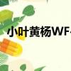 小叶黄杨WF-1（关于小叶黄杨WF-1简介）