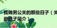 我做男公关的那些日子(关于我做男公关的那些日子简介)