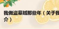 我做盗墓贼那些年(关于我做盗墓贼那些年简介)