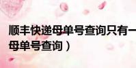 顺丰快递母单号查询只有一个快递(顺丰快递母单号查询)