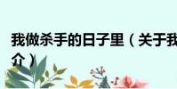 我做杀手的日子里(关于我做杀手的日子里简介)