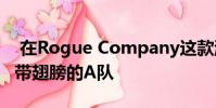 在Rogue Company这款游戏中 你基本上是带翅膀的A队