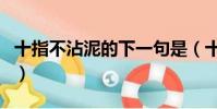 十指不沾泥的下一句是(十指不沾泥的下一句)