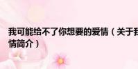我可能给不了你想要的爱情(关于我可能给不了你想要的爱情简介)