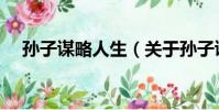孙子谋略人生(关于孙子谋略人生介绍)