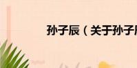 孙子辰(关于孙子辰介绍)