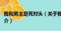 我和男主是死对头(关于我和男主是死对头简介)
