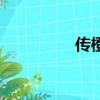 传橙（关于传橙的简介）