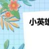 小英雄（关于小英雄的简介）