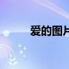 爱的图片（关于爱的图片的简介）