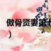 傲骨贤妻第七季（关于傲骨贤妻第七季的简介）