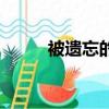 被遗忘的（关于被遗忘的的简介）