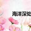 海洋深处 （关于海洋深处 的简介）