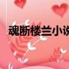 魂断楼兰小说（关于魂断楼兰小说的简介）