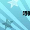 阿敏（关于阿敏的简介）