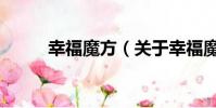 幸福魔方(关于幸福魔方的简介)