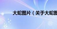 大蛇图片(关于大蛇图片的简介)