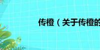 传橙(关于传橙的简介)