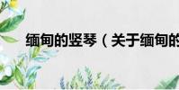 缅甸的竖琴(关于缅甸的竖琴的简介)