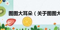 图图大耳朵(关于图图大耳朵的简介)