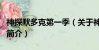 神探默多克第一季(关于神探默多克第一季的简介)