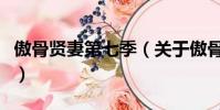 傲骨贤妻第七季(关于傲骨贤妻第七季的简介)