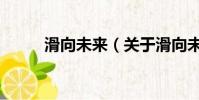 滑向未来(关于滑向未来的简介)