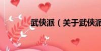 武侠派(关于武侠派的简介)