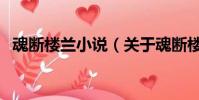 魂断楼兰小说(关于魂断楼兰小说的简介)