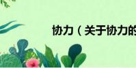 协力(关于协力的简介)