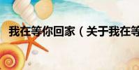 我在等你回家(关于我在等你回家的简介)