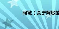 阿敏(关于阿敏的简介)