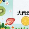 大南迁（关于大南迁的简介）