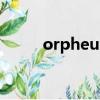 orpheus（关于orpheus的简介）