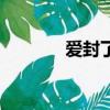 爱封了（关于爱封了的简介）