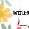 啊甘正传（关于啊甘正传的简介）