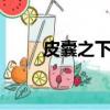 皮囊之下 （关于皮囊之下 的简介）