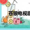 苍狼电视剧（关于苍狼电视剧的简介）