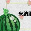 米纳里（关于米纳里的简介）