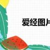 爱经图片（关于爱经图片的简介）