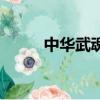 中华武魂（关于中华武魂的简介）